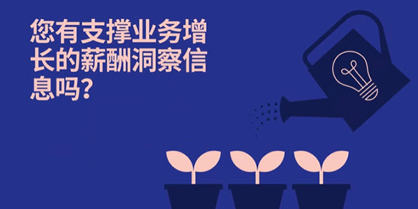 第 3 阶段 敏捷性